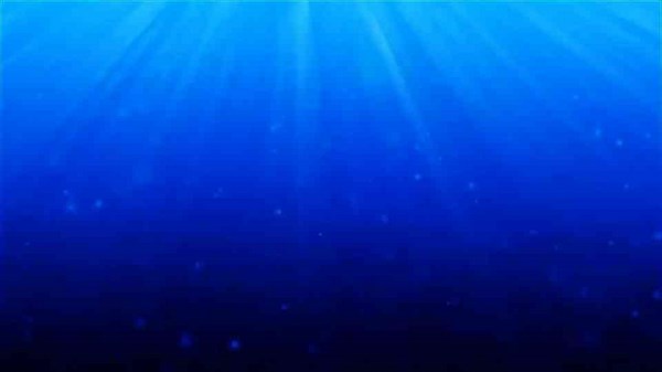 Photoshop Tutorial How to Create Effective Watermarks