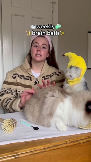 Cat ASMR Brainwash: Relaxing 15-Minute Spa