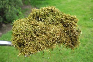 Homemade Fertilizer - 2 Great Easy-To-Make Fertilizers