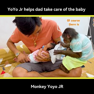 9.1K views · 744 reactions | YoYo Jr helps dad take care of the baby #monkey #monkeyyoyo | Monkey YoYo Jr | Facebook