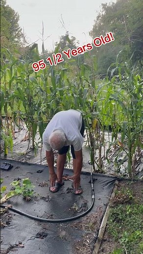 What are the best type of stretches?