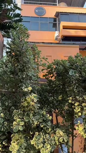 1.5K views | 探索 Aya Massage Bangkok 泰式按摩的神奇世界，让泰国老师的专业按摩师带您享受身心的放松与愉悦。#放松身心 #健康生活 | Thailand Nightlife ชีวิตยามค่ำคืนในประเทศไทย | Facebook