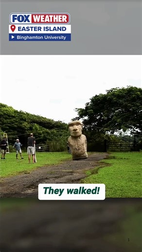 👣 WALKING GIANTS: Scientists may have solved the mystery of how the giant statues of Easter Island moved to their present locations. https://www.foxweather.com/earth-space/easter-island-statues-walked | FOX Weather