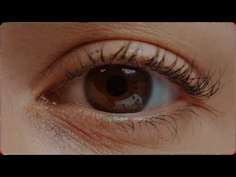 Look Closer | Exhibit Orientation Video (Sample)