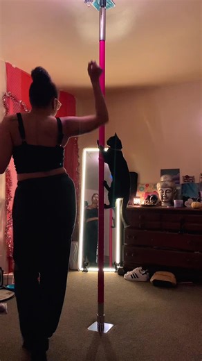 💞Practice. 👑 Get ready. 🐾 Here we come 🐈‍⬛ #viral #diva #cat #poledancer #fyp