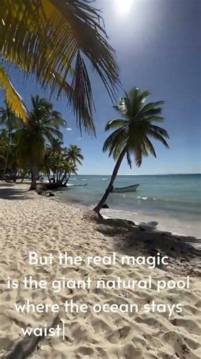 This is the REAL Nature Island of the Caribbean 🇩🇲🌿