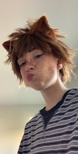 Understanding Dog Behavior in Playful Fights