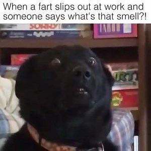 1.8K views · 26 reactions | For Fun on Reels | Facebook