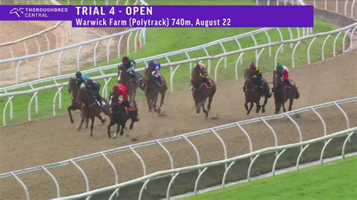A second trial win for the prep for Pride Racing sprinter Mazu on the Warwick Farm polytrack on Friday beating Maz Kanata and Good Sort. Among those also trialling were Kintyre, Joliestar, Island Dec and Brigidine Gal. TAB | Racing NSW