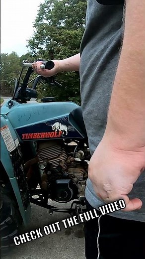 1996 Timber wolf 250 Service - Part 9