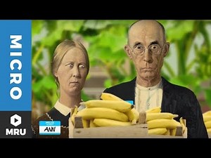 2016 AP Macroeconomics Exam FRQ #3