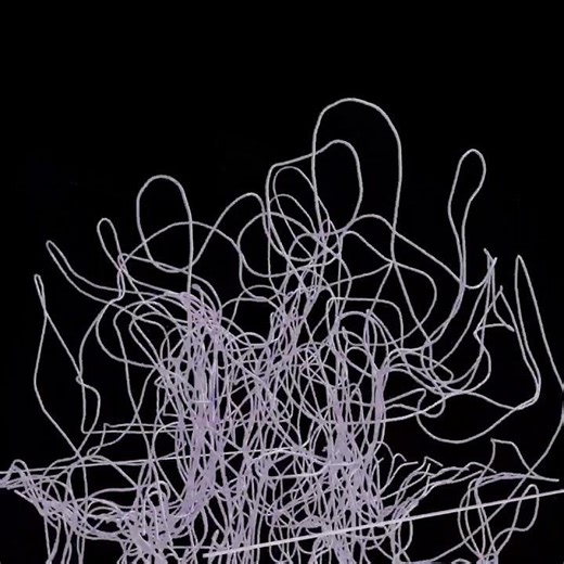 Blender VDBs to curves