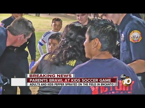 Parents brawl at kids soccer game
