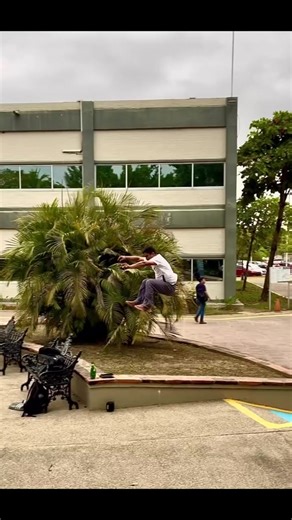 Exploring the Thrilling World of Parkour