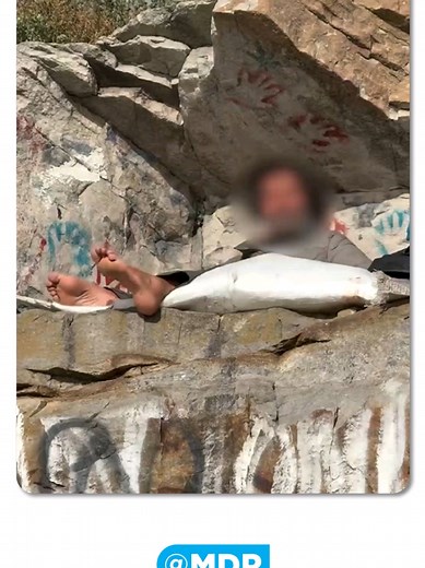 ⛺❌ ¡SE TERMINÓ EL ACAMPE EN LAS ROCAS! El presidente del Emsur, Daniel Martínez, encabezó un nuevo operativo de Servicios Urbanos para liberar el espacio público en la costa.