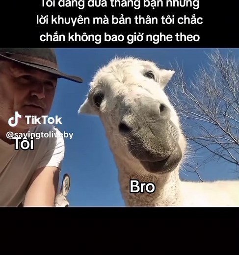 Yeah... #men #sad #tiktokviral #viralvideo #trending #fyp #explore #reels #real #relatable #viral #trendingvideo #tik_tok