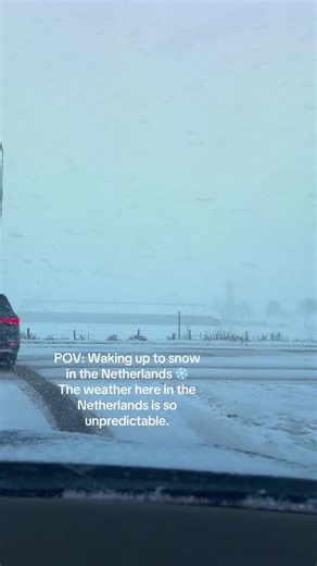 Waking Up to Magical Snow in the Netherlands