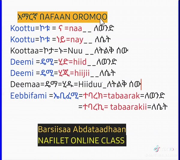 Learn Oromo Language Easily with TikTok Videos | Oromo TikTok