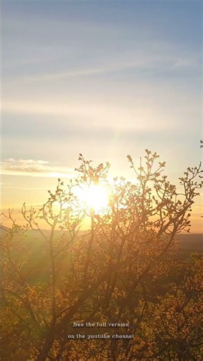 🌞 A peaceful Wake Up: Healing Morning Meditation 🌳˚˖⁠໋✧˚A million miracles begin at sunrise everyday