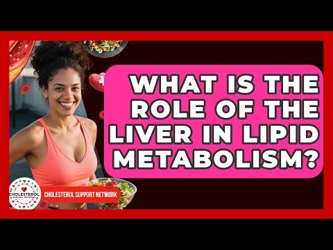 What Is the Role of the Liver in Lipid Metabolism? - Cholesterol Support Network