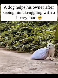 62K views · 1.4K reactions |  let me help you  | Beauty Of Nature | Facebook