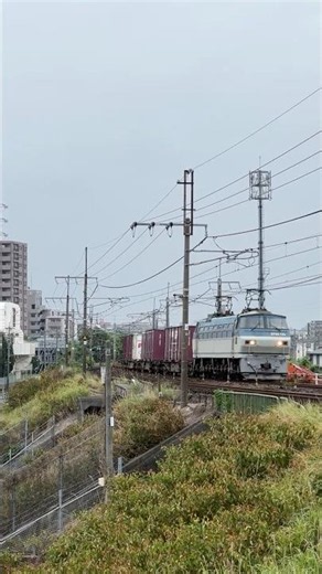 【多治見貨物をEF66が代走】中央本線の新守山～勝川間の築堤を走行するEF66牽引の1653レ #EF66 #多治見貨物 #中央本線 #貨物列車