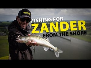 SPRO - Zander Fishing From The Shore