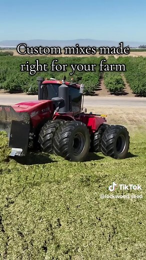 High-Quality Forage Solutions for Dairy Production