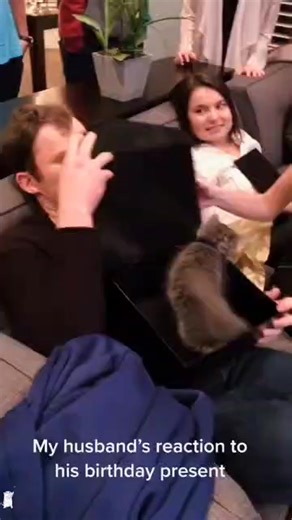 Birthday surprise unlocked! 🎉 Tiny legs, big love — our adorable Munchkin kittens just made someone’s day extra special 💕 | Adorable munchkin kittens for adoption