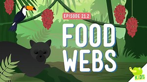 Home Sweet Habitat & Food Webs – Crash Course Kids