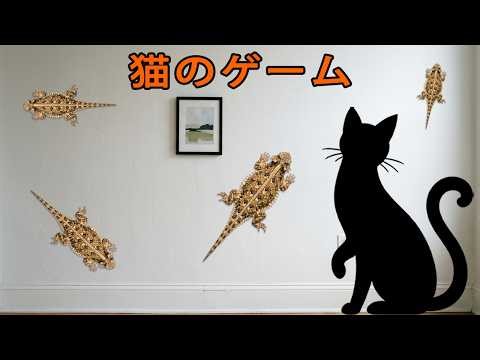 高速トゲヤモリラン！逃げ切れる？😱Fast Horned Gecko Run! Can They Escape?