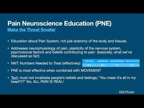 07- Pain Neuroscience Education and Strategies for Acute/Tissue pain