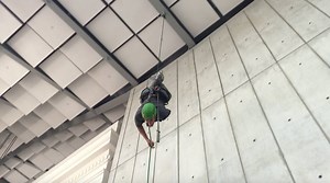 2.9K views · 76 reactions | Tree-climbing style, via Academy sloth specialist Bryson Voirin! Why such awesome rope skills? "Sloths are the slowest mammals in the world," he says, "but they can still outfox you in the canopy." | California Academy of Sciences | Facebook