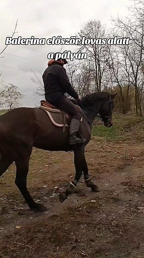 46K views · 1K reactions | A legtöbb lovas a technikára helyezi a...