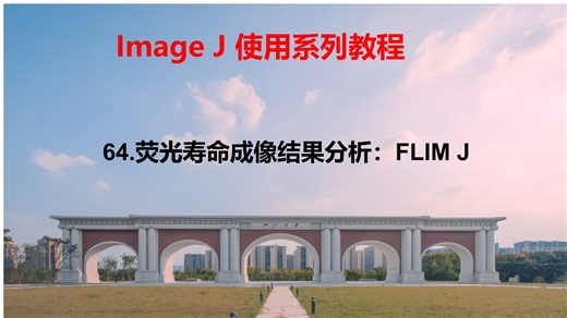64.荧光寿命成像分析（FLIM J)