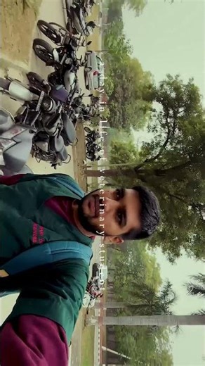 Life of veterinary student - Luvas hisar #shorts #veterinary
