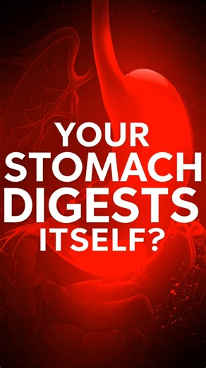 Your Stomach Can Digest Itself 😮 #shorts