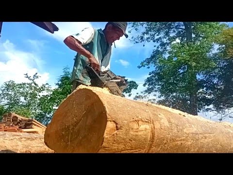 The Amazing Old Man's Skills Splitting Big Wood Using Pro Quip