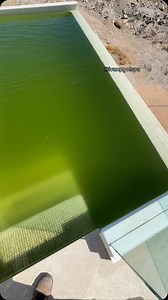 1.3K views · 370K reactions | Limpiando piscina verde  #pool #alberca #ivanpoolspa #poolswimming #limpiandolapiscina #tecalaipoolstore | Ivanpools | Facebook