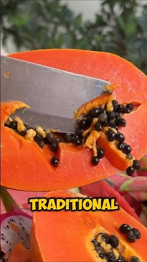 Amazing Papaya Seed Tea Recipe #health #shorts