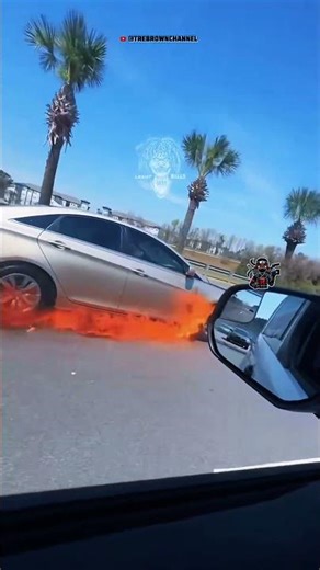 VIRAL VIDEO CAR BURSTS INTO FLAMES ON HIGHWAY 😳 Driver Captures Shocking Fire in Myrtle Beach.