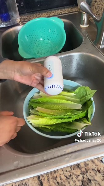 Rethinking Produce Washing with Food Purifier - TikTok Shop Find