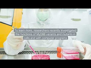 Mechanism of MyD88S-mediated immune signal termination