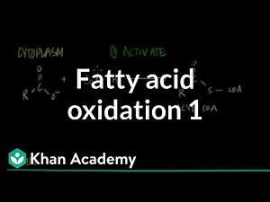 Fatty Acid Oxidation - Part I Video Lecture | Biochemistry for MCAT