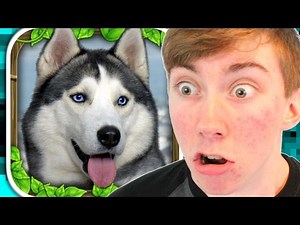 STRAY DOG SIMULATOR (iPad Gameplay Video)