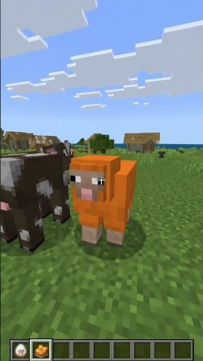 Differences between Minecraft Java and Bedrock