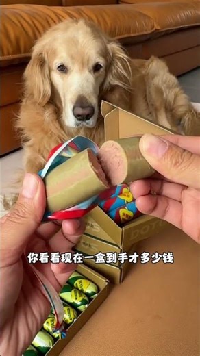 赶紧行动，Dotes独家优惠等你来抢