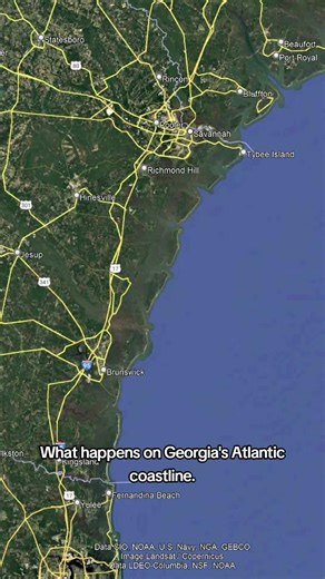 Why Georgia has such a weird coastline #geography