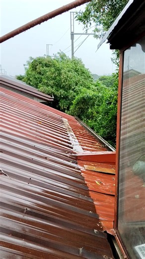 Sumayad nga sa Bubongan... #everyonehighlightsfollowers #insects, #trendingreel, #viewersfriendsfollowersnonfollowers, #everyoneactivefollowersシfypシ゚viralシalシ, #foryouシpage, #cctomusicnotmine, #reelschallengereelschallenge, #followersreelsfypシ゚viralシfypシ゚viralシalシ | RSB M&M | Facebook