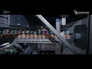 Genus Focus for in-ovo sexing